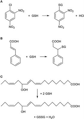 Glutathione S-Transferase Enzymes in Plant-Pathogen Interactions